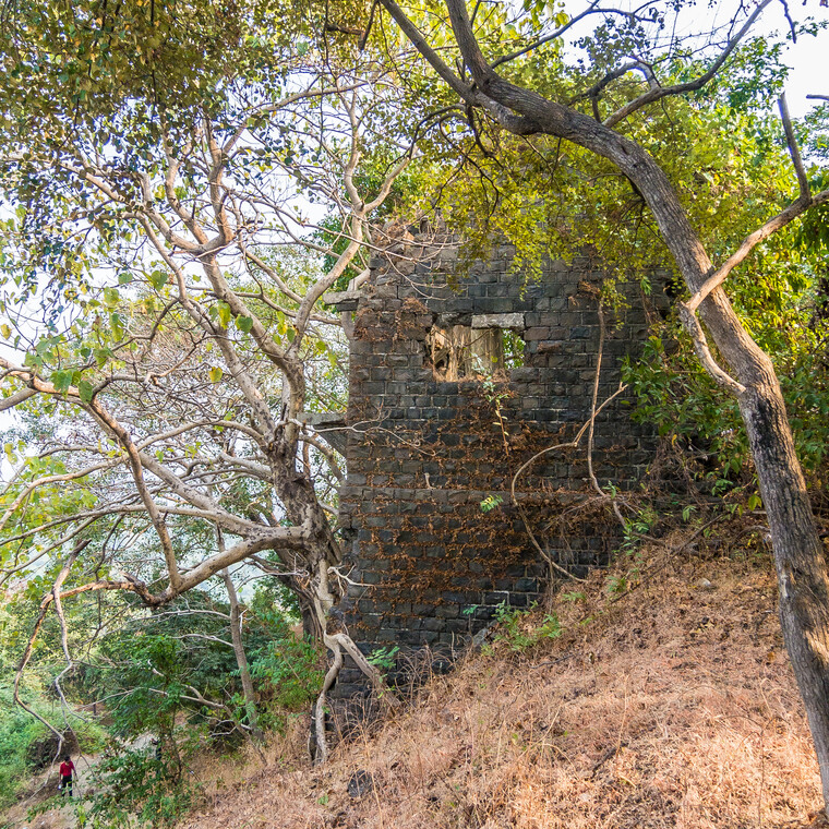 India 2014 - Mumbai 027.jpg